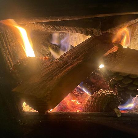 Basic, Super 'Cosy' Cabin In The Middle Of National Park And Mountains Apartamento Otira Exterior foto